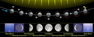 Phases of the moon