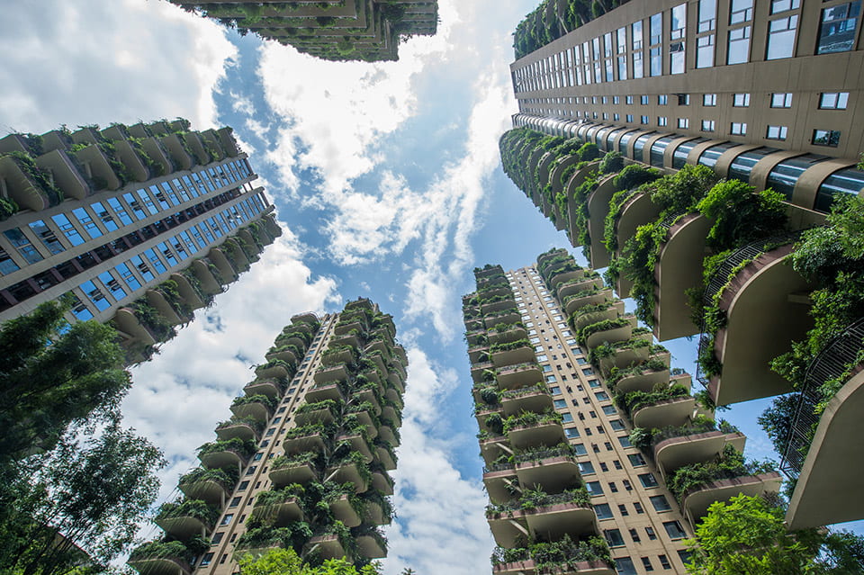 Residential buildings with trees on each floor.