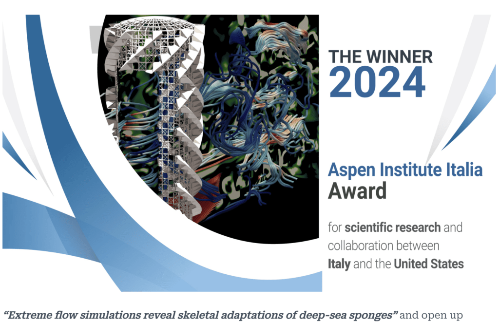 ASPEN Award 2024