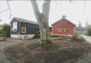 Large tree in foreground with red single story barn on the right of tree and blue building on the left of the tree.