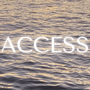 the hudson river waves at sunset. the word ACCESS glows in white text above the water