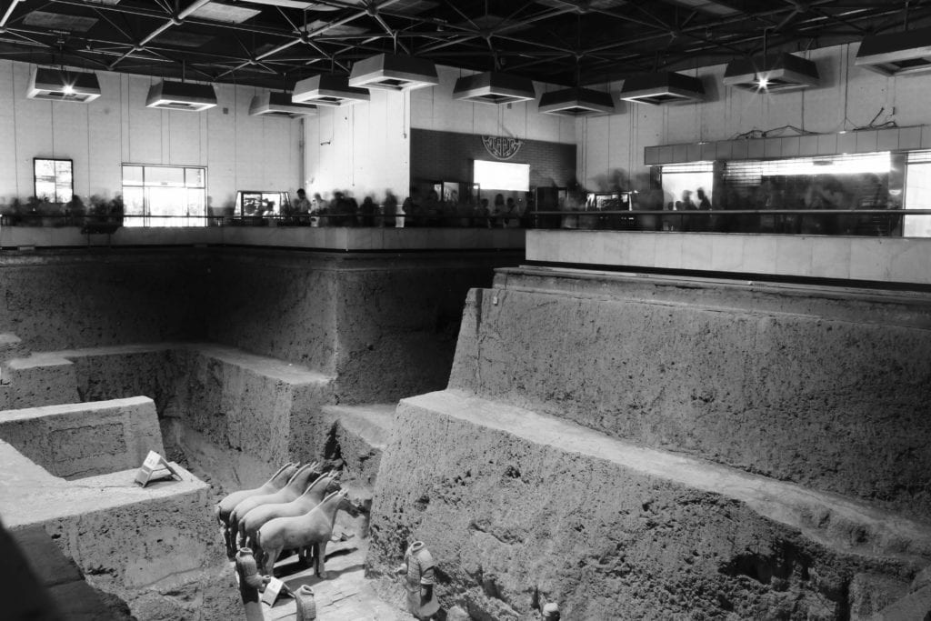 terra cotta horses in museum