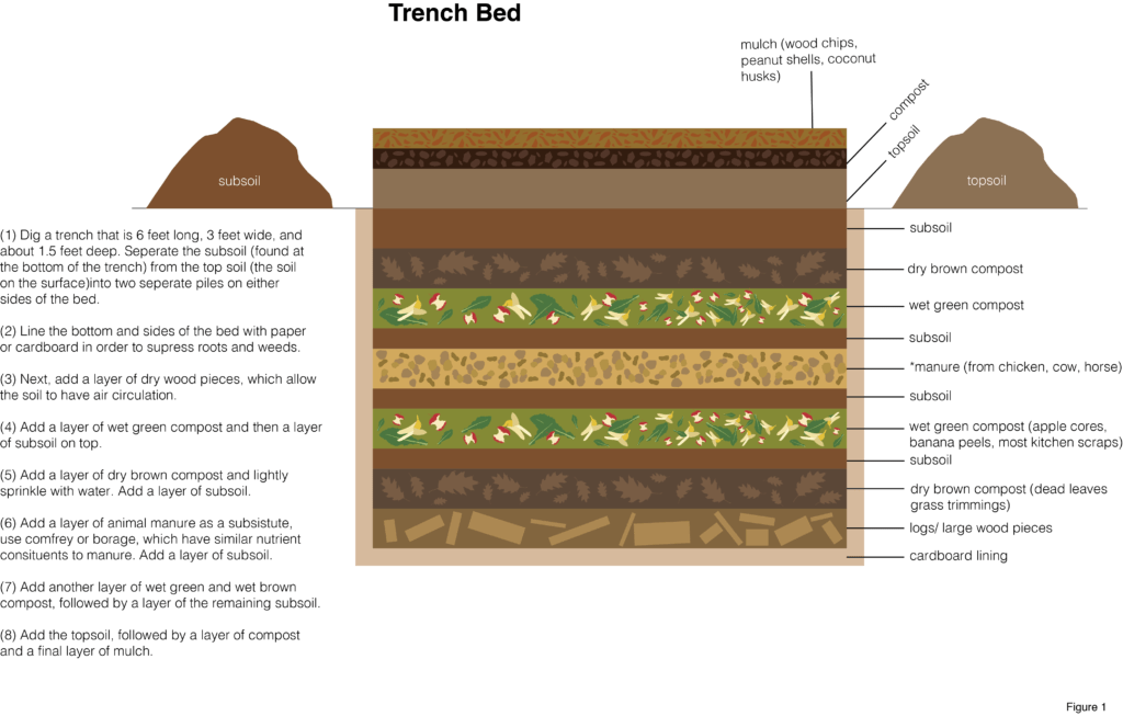 graphic showing components of layers in a trench bed