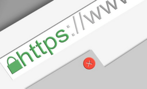 Screenshot showing a truncated view of an internet browser address bar, with a green padlock symbol followed by https and www