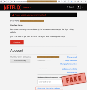 Screenshot of forged Netflix dialog requesting an update of billing information