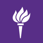 NYU torch