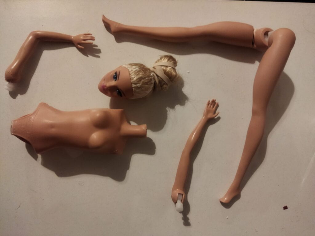 Barbie dolls with private parts online