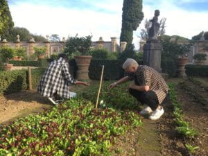 Two students crouch next to vegetable beds