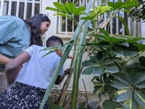 Two students inspect plant life