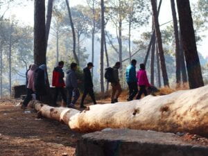 A group of people walking in the woods