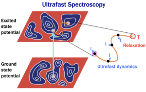 Ultrafast Spectroscopy