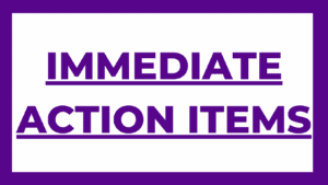 IMMEDIATE ACTION ITEMS