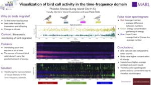 Visualization of bird call activity in the time-frequency domain