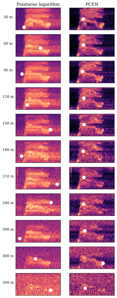 Effect of pointwise logarithm (left) and per-channel energy normalization (right) on the same Common Nighthawk vocalization.