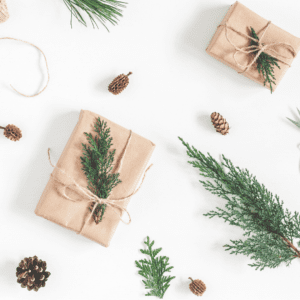 brown paper packages and plants