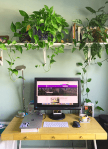 Desk with plants