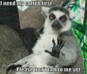 Lemur saying "I need my coffee first... Please don't talk to me yet..."