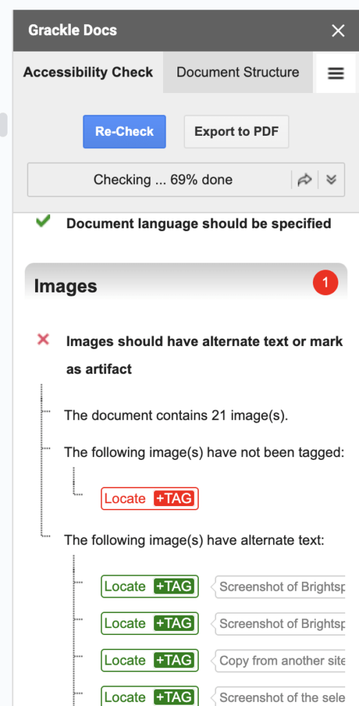 Screenshot of GrackleDocs that has found an image without an alt tag