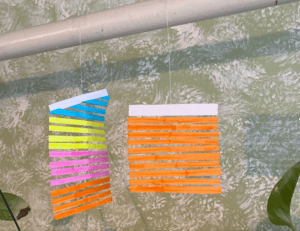 Tactile graphic made out of index card and string of the Series of Vulnerable Arrangements – Voice and Wind from the Guggenheim Museum. The left one is colored blue, yellow, pink and orange and scented with women’s perfume. The right one is colored orange and scented with men’s cologne. Arrangements are hung from a pole with white string.