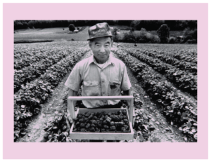 Photograph of Japanese strawberry farmer