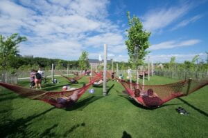 2 red hammocks shown in a green field with blue sky