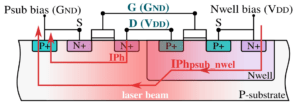 Laser-induced current components. Cross section of a CMOS inverter.