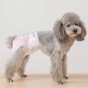 Disposable Pet Diaper Pant With Adjustable Tail Hole