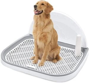 Dog-Potty-Toilet-GANCHUN-Pet-Indoor-Dog-Training-Toilet-23-x-20-Dogs-Potty-Training-Pads-Holder-for-Small-and-Medium-Dogs-