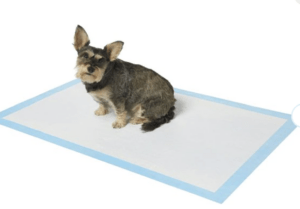 Frisco-Giant-Dog-Training-Potty-Pads-27.5-x-44-in.png