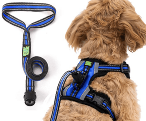 The image shows a dog wearing the Easy Lock Dog Harness. To the left of the dog is the leash