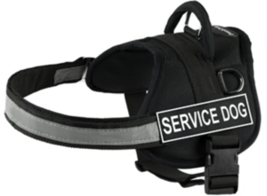 The image shows a profile view of a black DT Works Patch Dog Harness