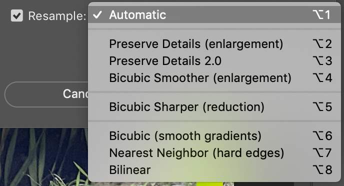 A screenshot of the dropdown menu of "Resample" options. The options are Automatic, Preserve Details (enlargement), Preserve Details 2.0, Bicubic Smoother (enlargement), Bicubic Sharper (reduction), Bicubic (smooth gradients), Nearest Neighbor (hard edges), and Bilinear.