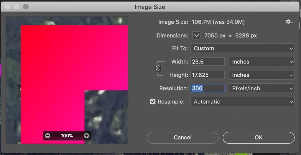 A screenshot of the Image Size menu. In the preview box on the left, the preview is zoomed into a red rectangle.