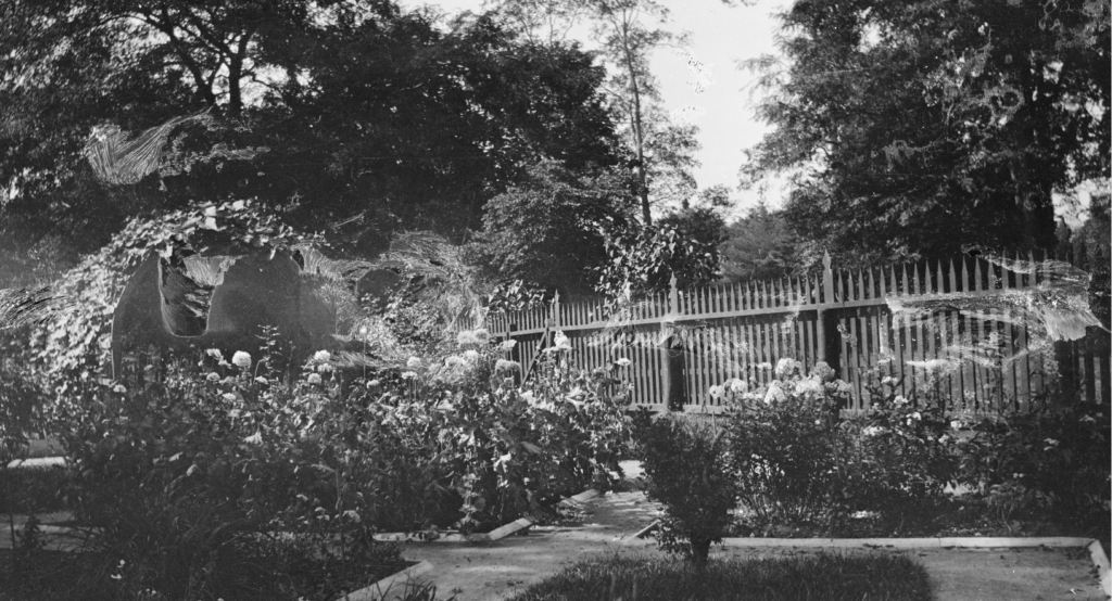 One of the Sylvester Manor nitrate negatives