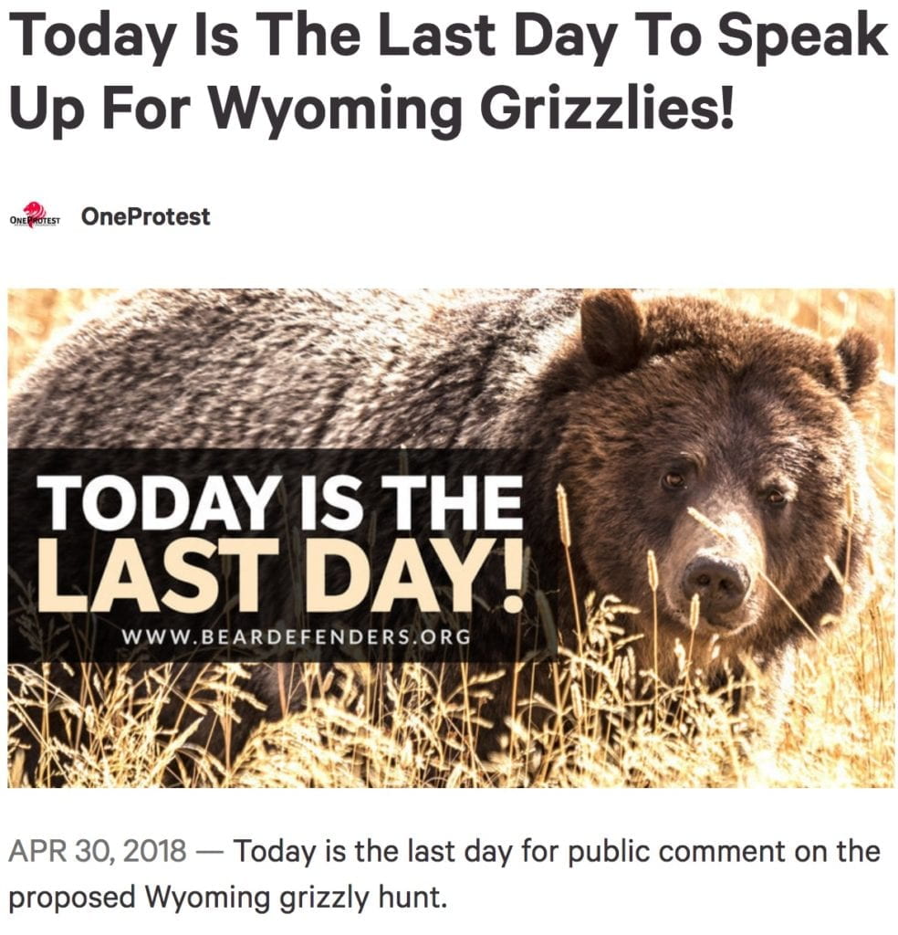 petition to help preserve Wyoming Grizzly Bears