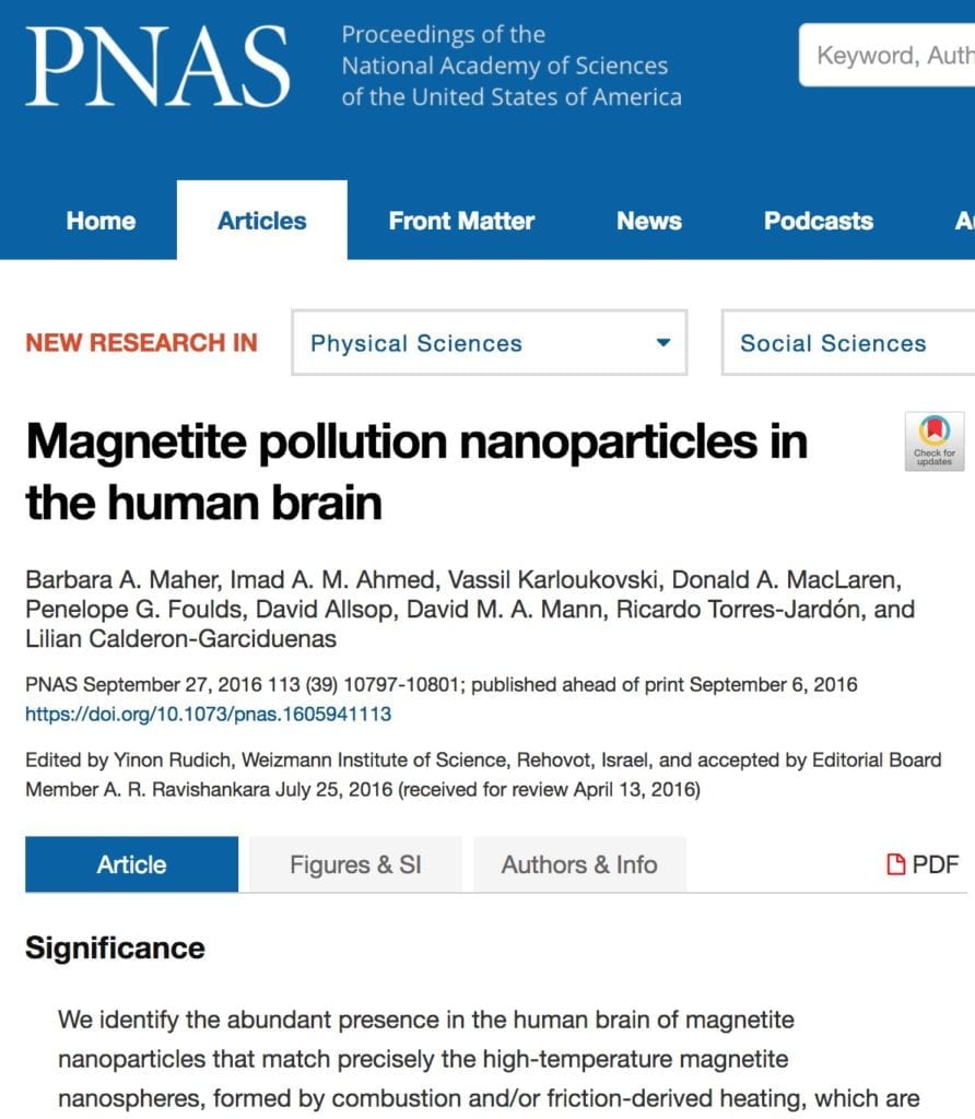 Magnettite pollution nanoparticles in the brain