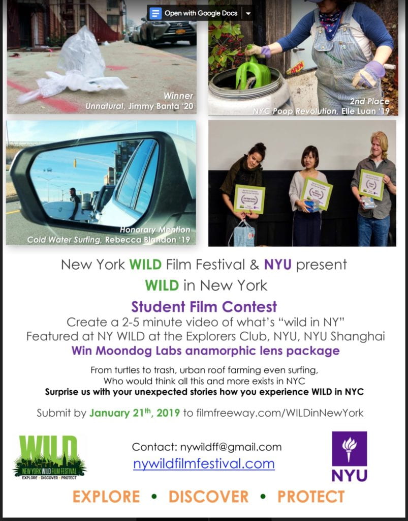 New York University Film Festival