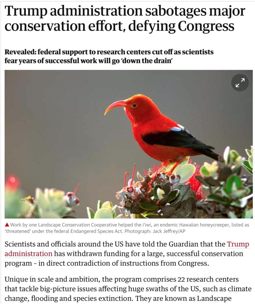 Trump administration sabotages major conservation effort, defying Congress