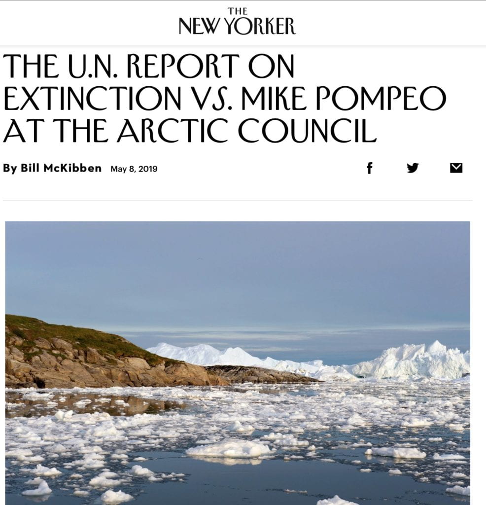 Bill McKibben article