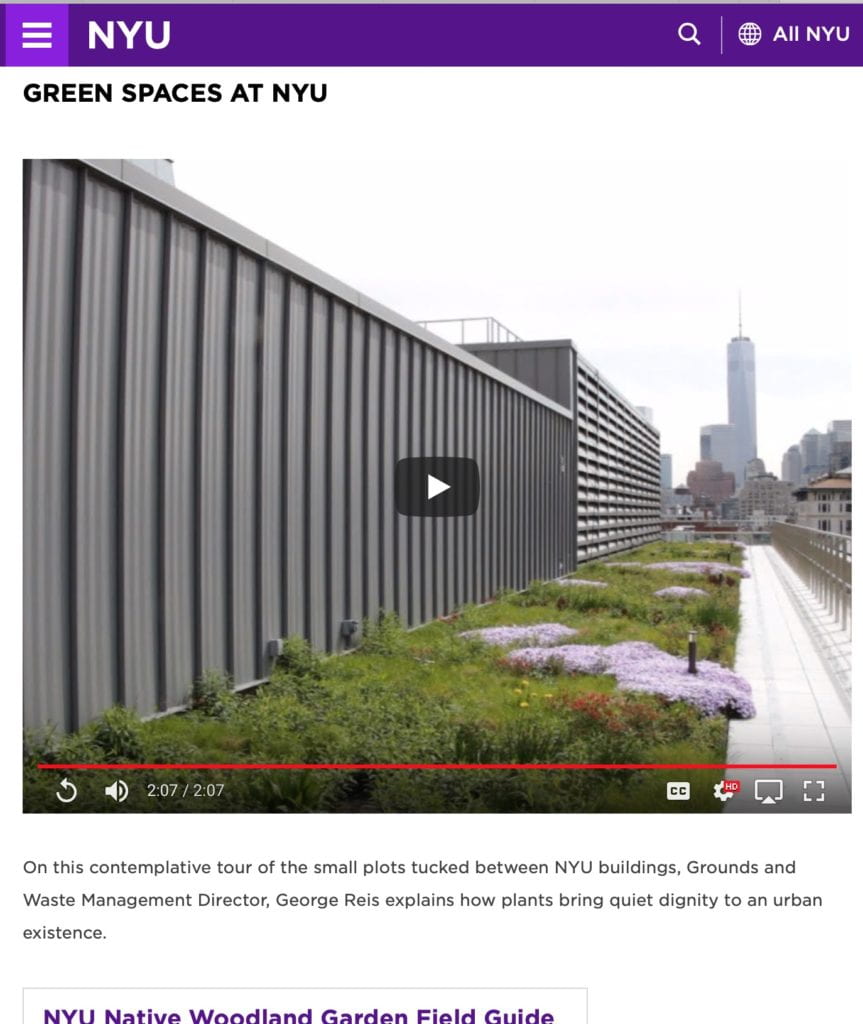 SUSTAINABLE LANDSCAPING AT NYU