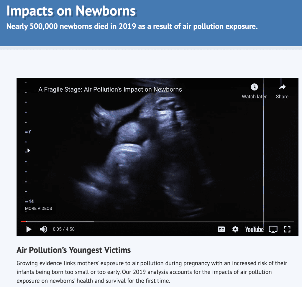 Air Pollution’s Youngest Victims Growing evidence links mothers’ exposure to air pollution during pregnancy with an increased risk of their infants being born too small or too early. Our 2019 analysis accounts for the impacts of air pollution exposure on newborns’ health and survival for the first time.