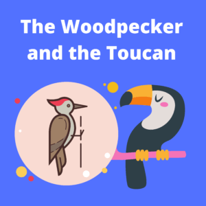 Picture of Woodpecker and Toucan