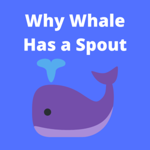 Picture of a Whale