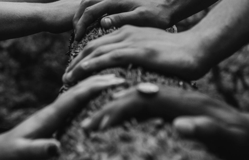 hands on a tree trunk