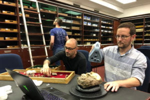 picture of Scott Williams and colleagues 3D scanning fossils