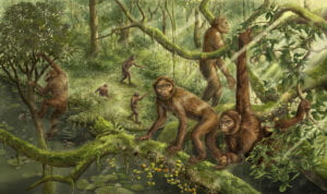 image of the reconstruction of the locomotor behavior and paleoenvironment of Lufengpithecus