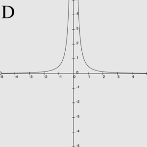 Line graph showing the discontinuity signification design. This image is from Figure 1, part D in the paper and shows the design of infinite discontinuity when the y-values goes infinitely large at x=0.