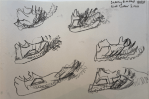 Blind Contour Shoes