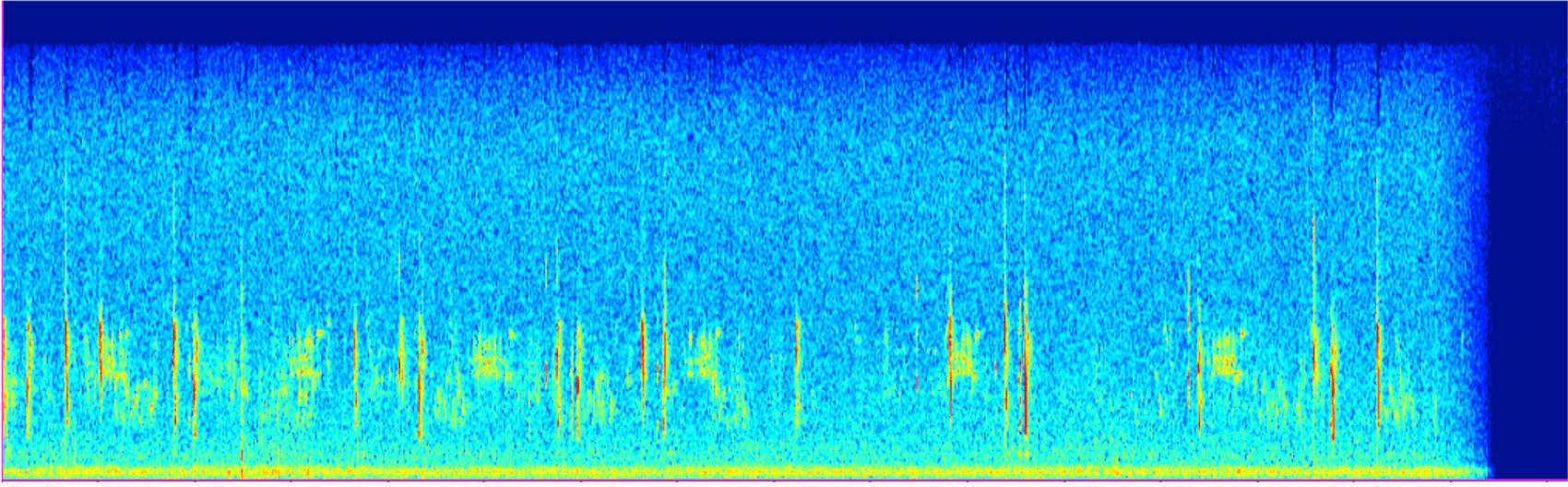 Wave form of bird audio