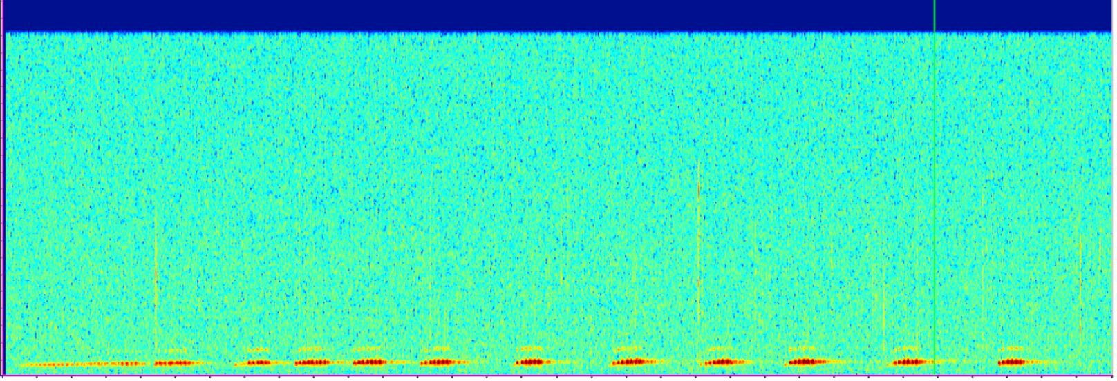 Wave form of bird audio